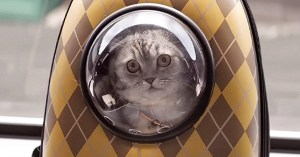 Weekend Box Office Results: <em>Argylle</em> Is Tops, but Is It Enough?