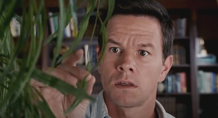 Mark Wahlberg in The Happening (2008)