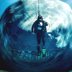 50 Years of Killer Fish (And Other Marine Monsters)