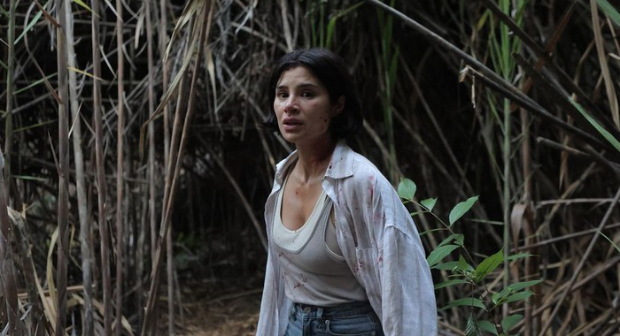 Image from The Whistler (2026)