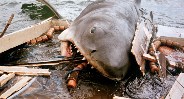 Bruce the shark in Jaws (1975)