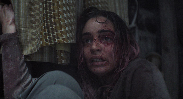 Evil Dead Burn