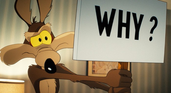 Image from Coyote vs. Acme (2026)