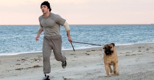 Toronto International Film Festival 2026: Movie Scorecard